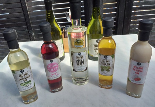 Gin Lovers Tasting for One Person incl. Gourmet Bites Board - Options for up to 10 People - Valid Wednesday to Sunday