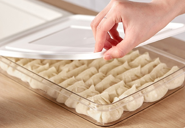 Refrigerator Dumpling Storage Box - Option for Two-Pack & Two Colours Available