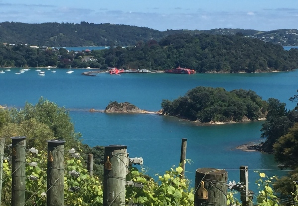 Waiheke Wine Tour for One Person incl. Three Wine Tastings at Three Wineries, Pick-Up & Drop-Off at The Ferry Terminal - Option for Four Wineries, incl. Platter-Style Lunch & Glass of Wine - Options for up to Ten People