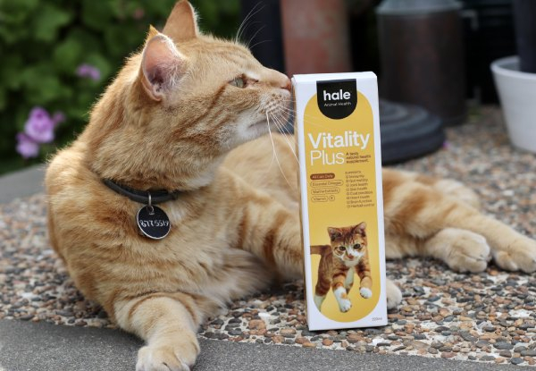 Vitality Plus for Cats