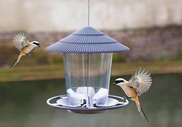 Outdoor Hanging Multiple Hole Bird Feeder