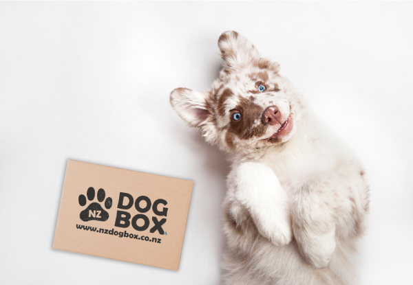 NZ DOG BOX Surprise Box - Two Options & Three Sizes Available