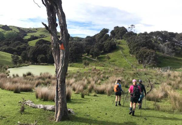 Two-Day / Two-Night Fully Catered Whareama Coastal Walk for Two People incl. Accommodation & Meals - Options for Groups up to Eight People