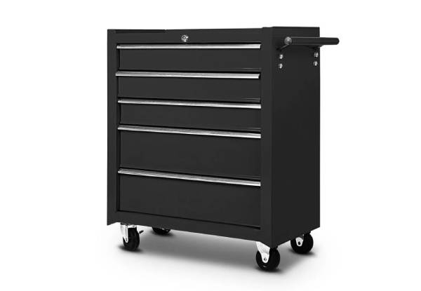 DS Tool Roll Cabinet & Chest - Two Colours Available