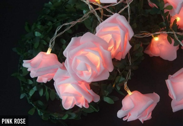 rose fairy lights mains