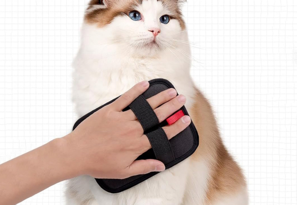 Reusable Pet Hair Remover - Option for Two