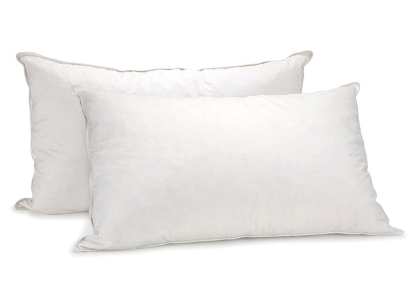 Two-Pack of Everyday Medium Pillows with Free Delivery