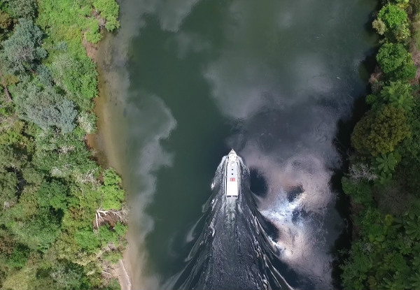 90-Minute Waikato River Cruise Family Pass