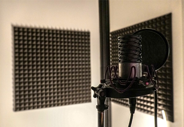 One-Hour of Professional Recording Studio Time incl. Engineer - Options for Two, Four or Eight Hour Sessions