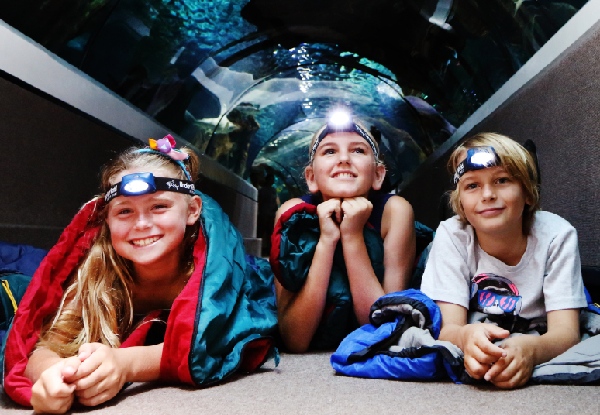Adult & Child Admission to Sleep Under the Sea Overnight at SEA LIFE - Friday 20th December, 7.00pm - Options for Two Adults & One Child & One Additional Child Available