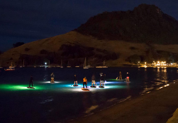 One-Hour Night Flood Light Stand Up Paddle Board Session for Two People