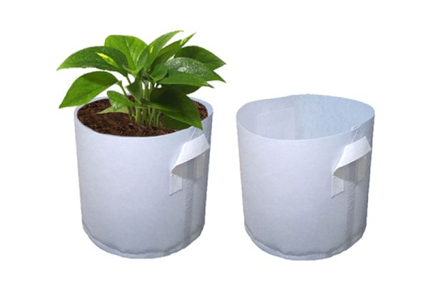 Biodegradable Non-woven Fabric Grow Bags -  Four Sizes Available - Option for Five or Ten