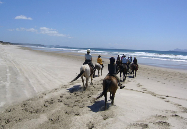 One-Hour Scenic Horse Trek Along Pakiri Beach- Option for Two People