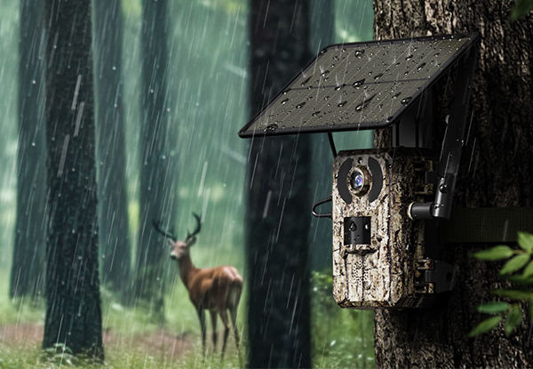 Outdoor Solar 4G LTE Cellular Trail Cameras with 2K Live Video - Option for Two