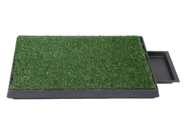 PaWz Pet Grass Potty Training Pad - Two Sizes Available