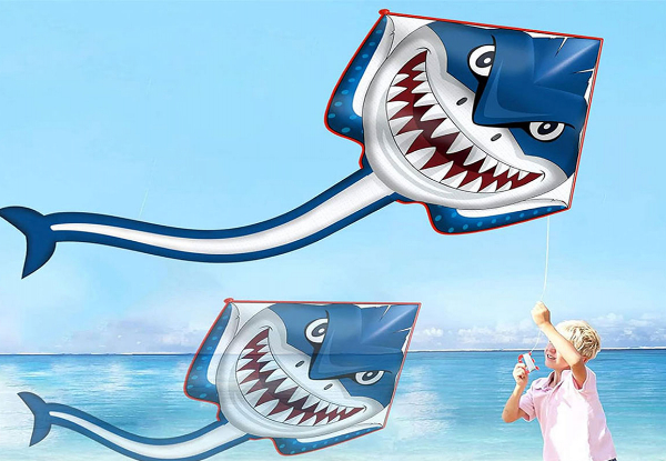 Kids Huge Delta Kite with Tail - Five Options Available