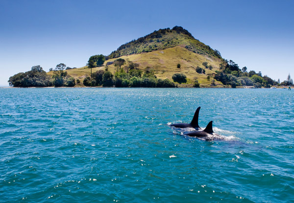 $58 for a Scenic Cruise & Drinks for Two People – Under 12 Cruise for Free (value up to $84)