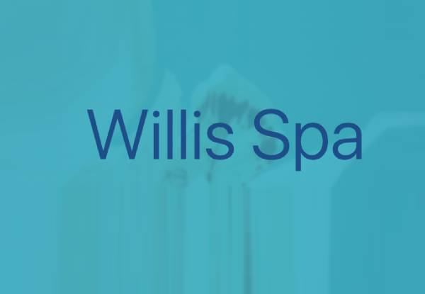 One-Hour Couples Massage Experience at Willis Spa - Option for Balinese or Deep Tissue Massage
