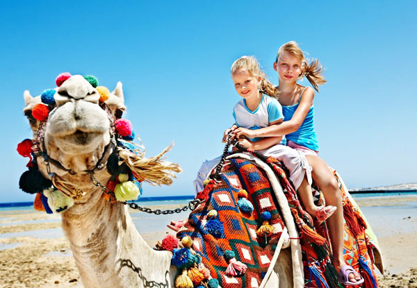 $799pp Twin Share for an 11-Day Golden Triangle & Pushkar Tour incl. Accommodation, Daily Breakfasts, Transfers, Guides & More (value up to $2,980)