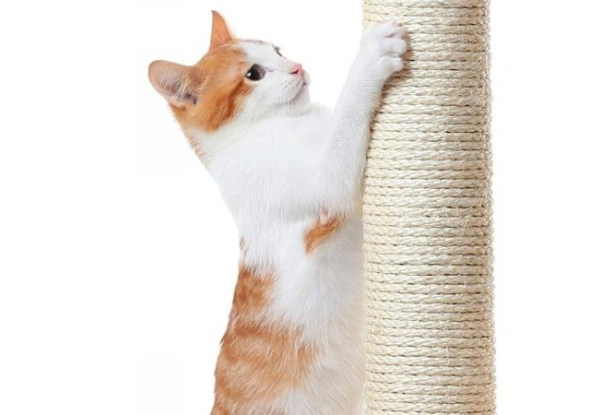 Tall Cat Scratching Post Climbing Tree
