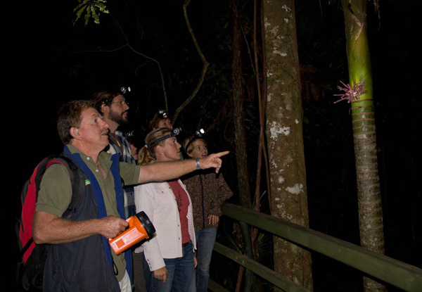 Three-Hour Night Rainforest Tour Family Pass for Two Adults & Two Children - Options for Four Adults or Single Adult/Child Pass