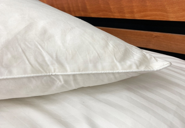 Good Linen Co 100% Feather Euro Pillow