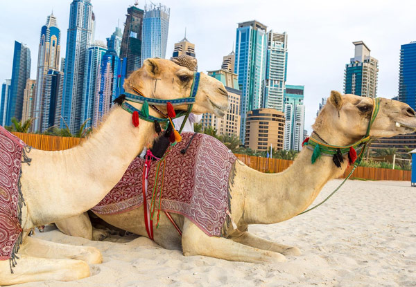 $699pp Twin-Share for a Six-Night 'Awesome Dubai' Tour incl. Accommodation, Daily Breakfast, Transfers, Tours, & More