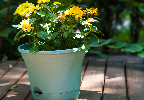 Two-Pack Self-Watering Planter - Two Colours Available & Option for Three-Pack