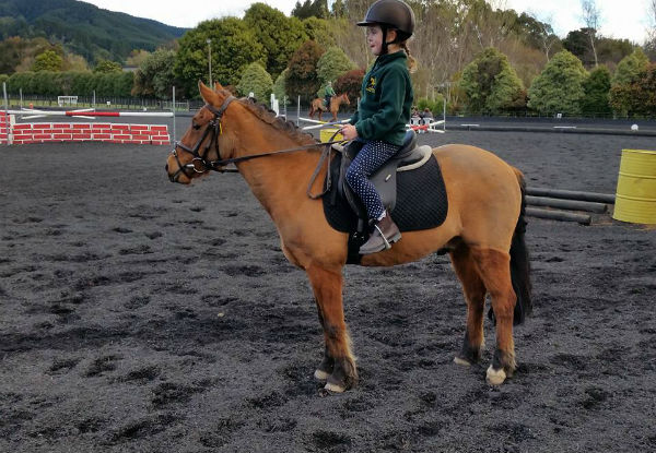 30-Minute Private Horse Riding Lesson for One Person - Options for Two Lessons or Three Lessons