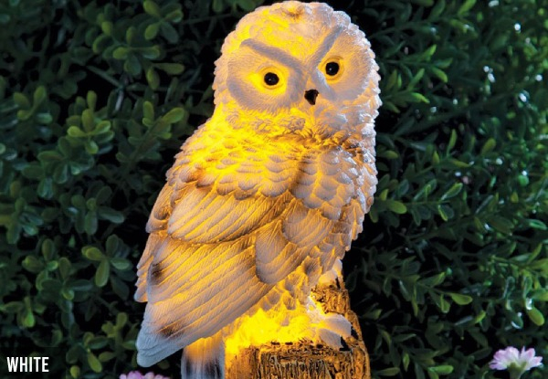 Solar Powered LED Owl Light - Two Colours Available