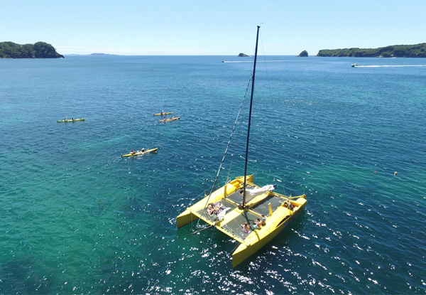 Six-Hour Private Charter for up to Ten People Sailing Around The Coromandel Coast incl. Cathedral Cove & Surrounding Areas - Option For Eight Hours