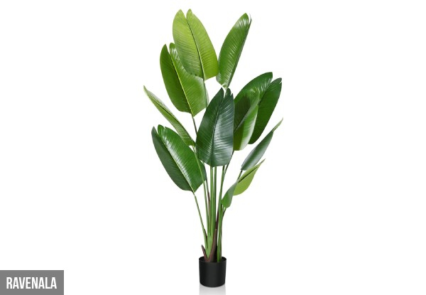 Artificial Plant Range - Four Options & Three Sizes Available