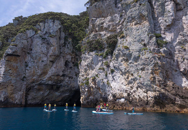 Full Day Luxury Boat Trip to the Poor Knights Islands for One incl. Lunch, SUP Hire & Guided Exploration - Options for Two, Four or Eight People Available