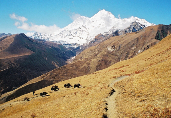 10-Day Bhutan Highlight Tour for Two incl. Accommodation, Internal Flights & Transfers, English Speaking Guide, Meals & Entrance Fees ($4159 Per Person)