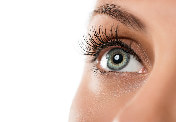 Eye Enhancement - Options for Lash Lifts, Classic Lash Extensions, Volume Extensions & Eye Trio incl. $10 Return Voucher