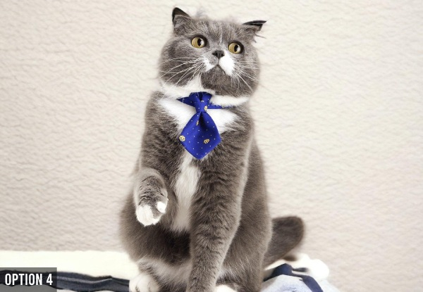 Pidan Adjustable Cat Necktie Collar - Four Options Available - Elsewhere Pricing $15.90