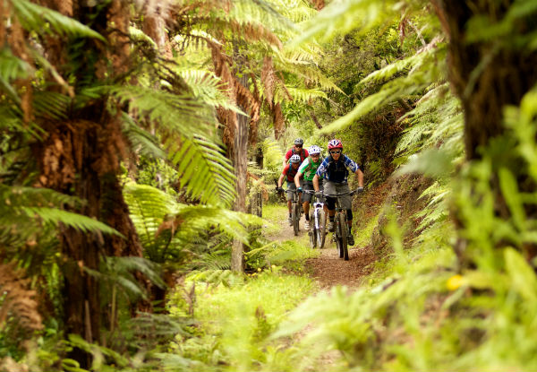 Per Person Five-Day North Island Dirt & Snow Tour incl. Lift Passes, Transfers, Daily Breakfast & More - Options for Shared or Private Accommodation
