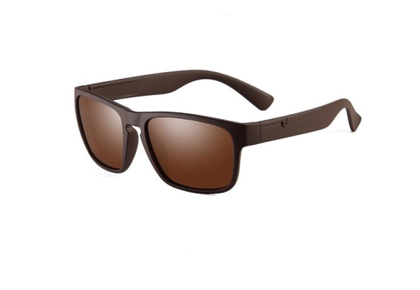 Men's Brown Polarized Sunglasses