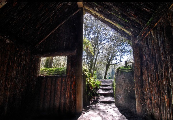 Adult Entry to  The Buried Village of Te Wairoa incl. Award-Winning Museum, Archaeological Sites & Te Wairoa Waterfall - Options for Teens & Family Entry
