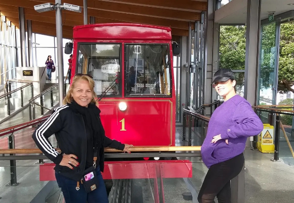 Full-Day Wellington Sightseeing & Cable Car Tour - Adults $326.17 or Children $157.83