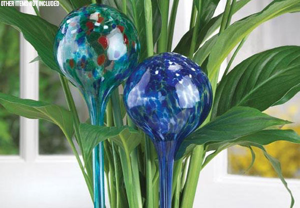 Four-Pack of Automatic Plant Watering Orbs