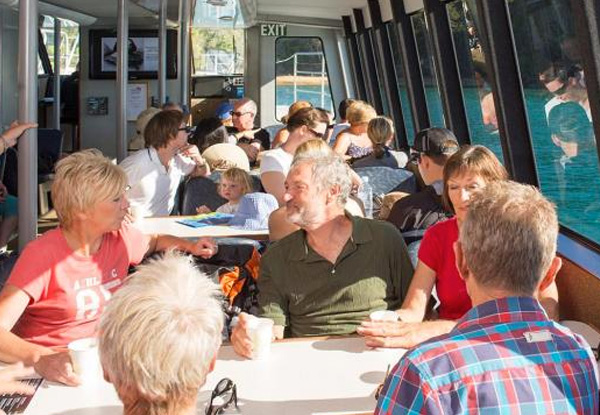 Abel Tasman National Park Vista Coffee Cruise for One Adult