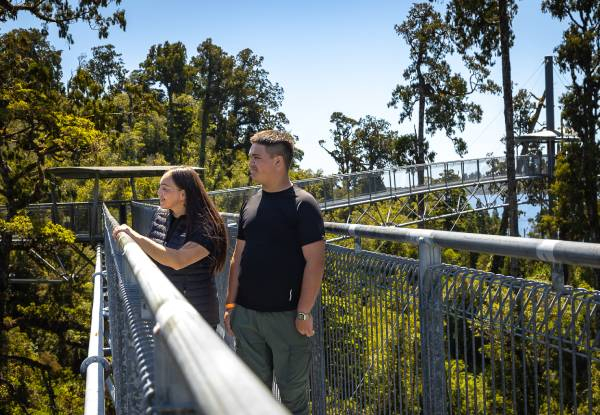 Adult Pass to The West Coast Treetop Walkway - Option for Child or Senior