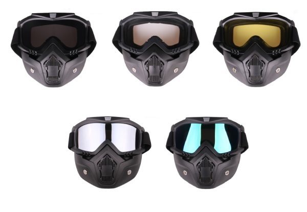 Windproof Full Face Ski Goggle Mask - Five Styles Available with Free Delivery