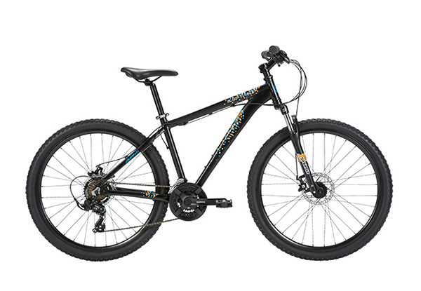 $489.99 for a Medium or Large Avanti Black Thunder Disc Bicycle (value $589.99)