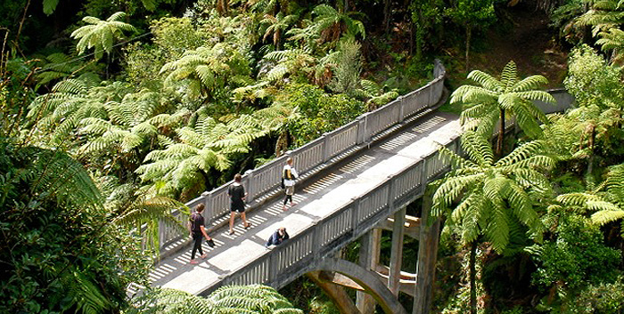 Whanganui National Park Canoe Trip incl. All Meals & Accommodation - Options for Adult or Child, & Three, Four, or Five Days