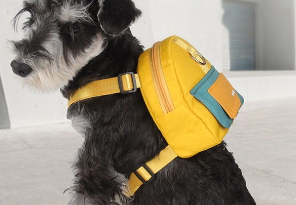 Adjustable Pet Snack Backpack Carrier with Harness - Available in Four Colours & Two Sizes