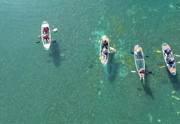 Waikato River Float Tour with Canoe & Kayak Taupo from $54