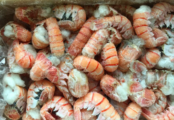 $89.90 for 2kg of Frozen NZ Ungraded Scampi Tails, or 1kg for $49.90 (value up to $178) - Auckland Pick-Up Only