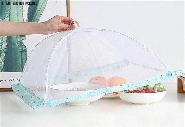 Two-Pack of Anti-Insect Food Protectors